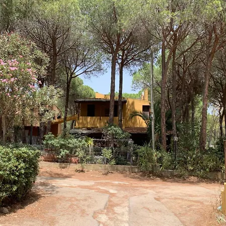 Cala Marina 3 4 Posti A 300 Mt Dal Mare *